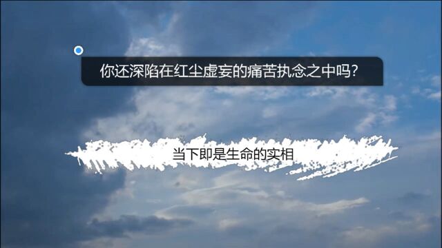 你还深陷在红尘虚妄的痛苦执念之中吗?当下即是生命的实相