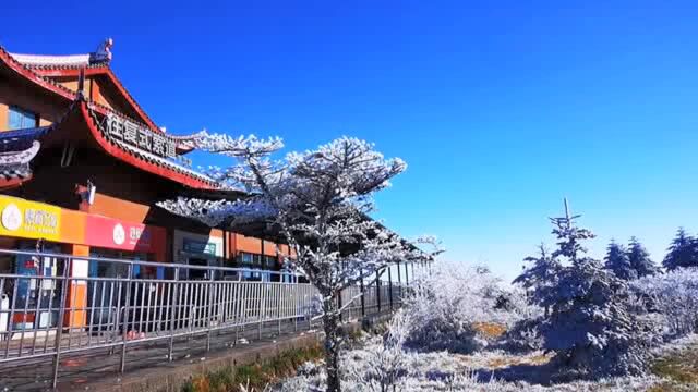 今天“大雪”!乐山接下来的天气……