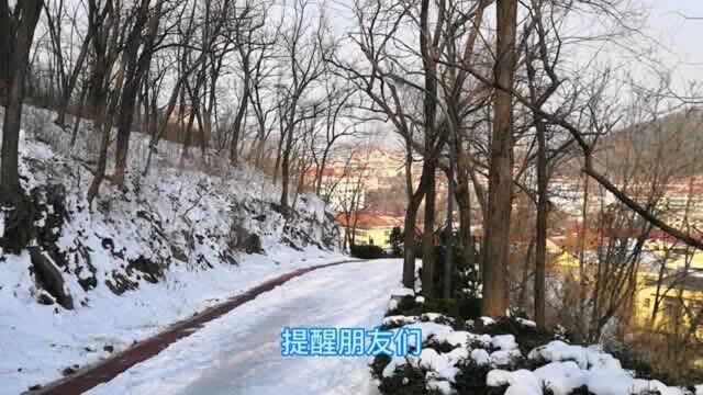 走过威海塔山绿道,山坡的雪没有融化,风景如画喜鹊在叫