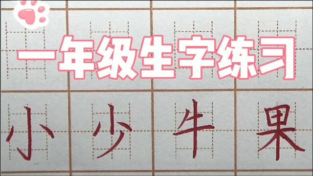 一年级语文生字:小少牛果,一笔一画练习写字,硬笔书法楷书练字