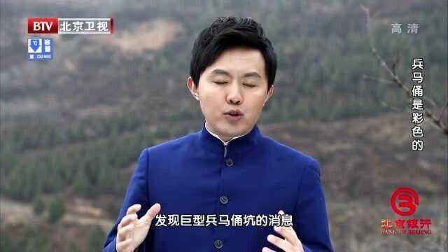 档案:骊山发现大量兵马俑,国家文物局局长王冶秋立即报告聂荣臻元帅