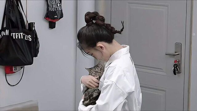 于家翊家里到底多有钱?单看他家的宠物猫,就知道身价不一般!