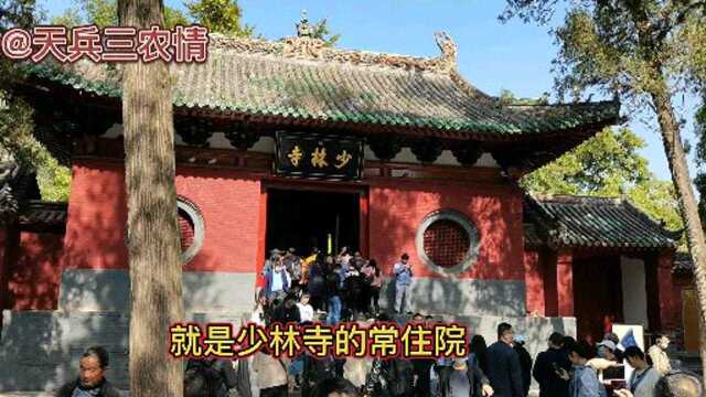 河南嵩山少林寺,从三门到天王殿,一碑一树,一字一句都在讲故事