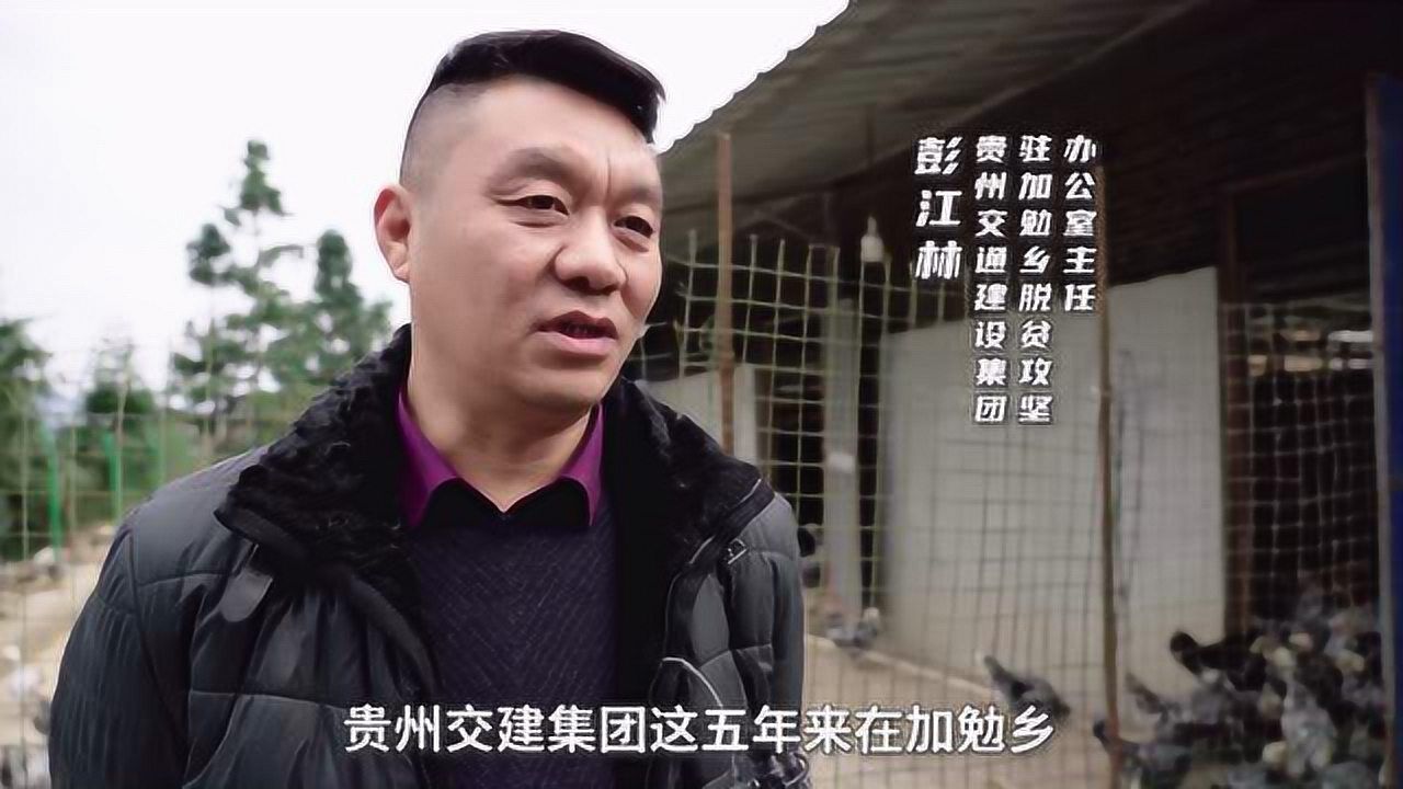 彭江林-贵州交通建设集团驻加勉乡脱贫攻坚办公室主任(产业扶贫方面)