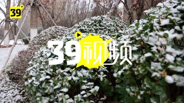 2021年大连的第一场雪