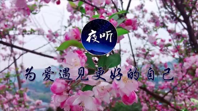 【夜听】爱,不将就