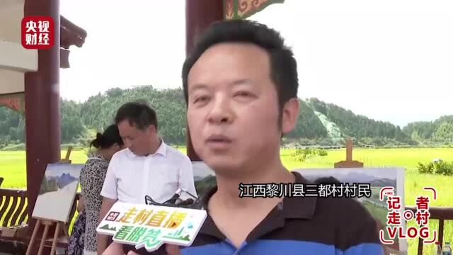 农民画作拍出13000元200多人靠田间作画脱贫致富