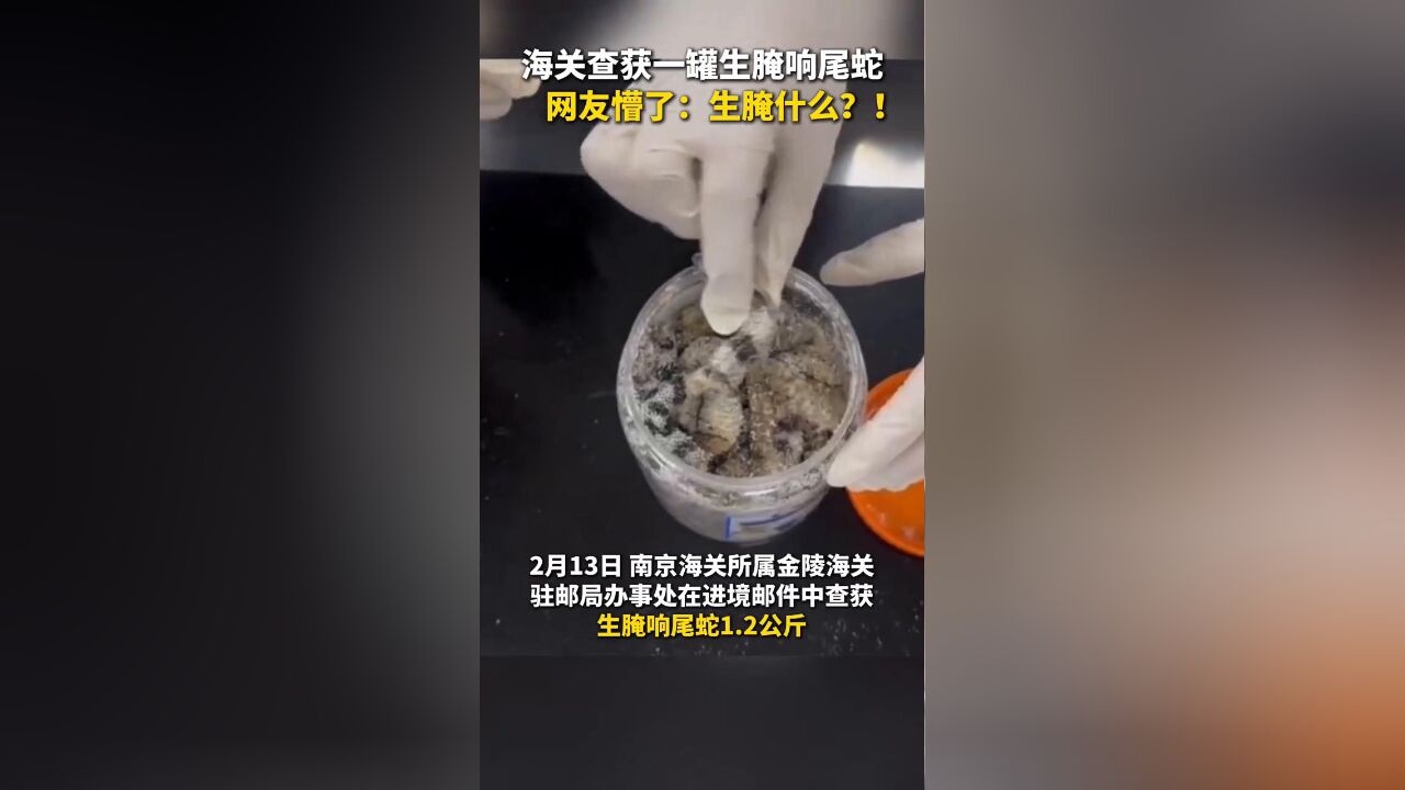 南京海关查获一罐生腌响尾蛇,网友:生腌什么?!