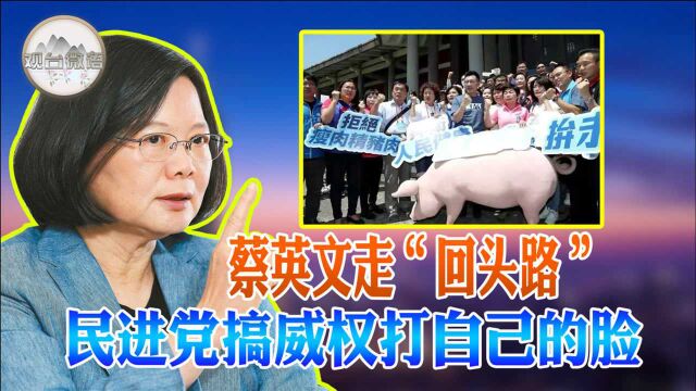 蔡英文向美纳“投名状”让台湾走“回头路”民进党狠打自己的脸