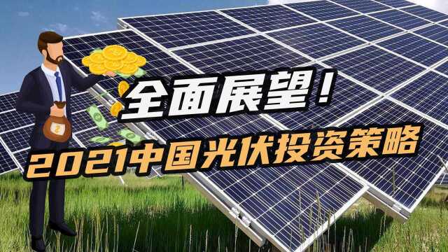 不容错过!2021年中国光伏投资全面展望:天弘基金两大策略曝光