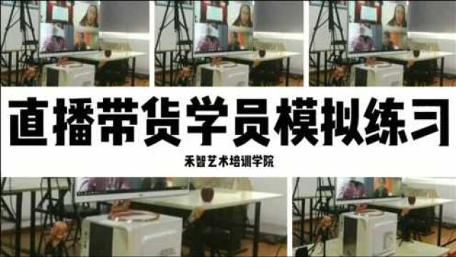 电商直播带货网红培训推荐工作,淮安直播培训课程表学些内容落地专业实用