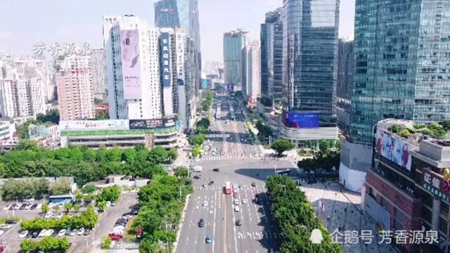 广州天河路和深圳深南路,看下这两个广东一线城市