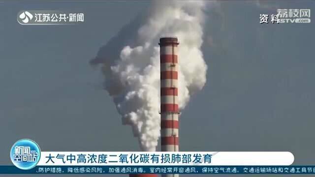 研究表明:大气中高浓度二氧化碳 有损肺部发育!