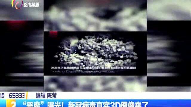 “恶魔”曝光!新冠病毒真实3D图像来了