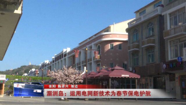 莆田湄洲岛:运用电网新技术为春节保电护航