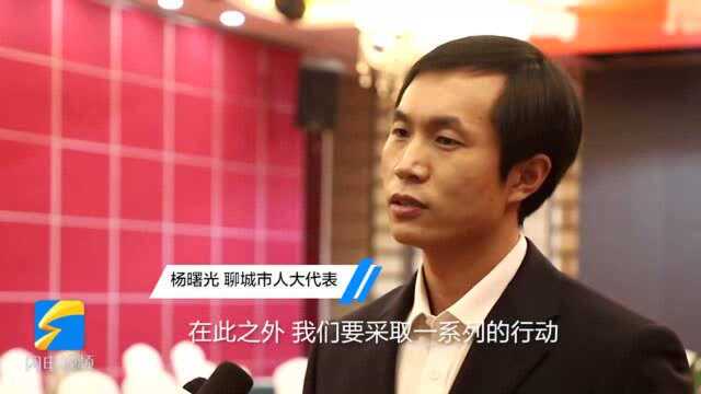 聊城两会|市人大代表杨曙光:打造“一二三”体系 做大制造业经济规模