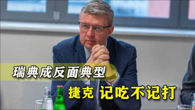 瑞典的教训不够痛?捷克开始跟风排斥中企:这关乎国家安全