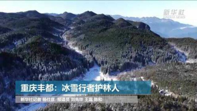 重庆丰都:冰雪行者护林人