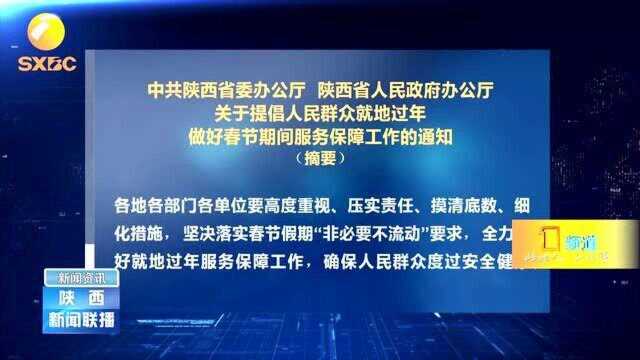 《关于提倡人民群众就地过年做好春节期间服务保障工作的通知》