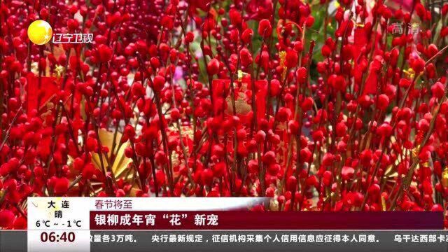 银柳成年宵“花”新宠