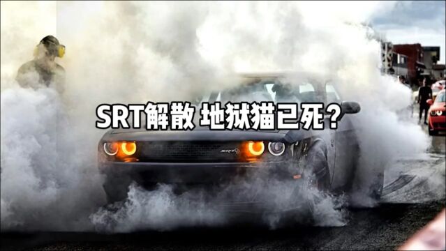 SRT被解散,地狱猫已死?会长带你了解整个事件