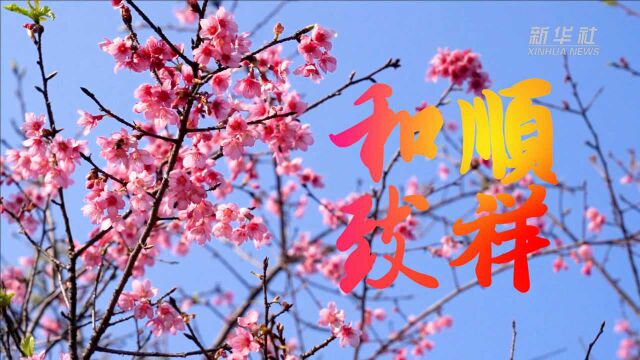 字里藏情庆新春|和顺致祥