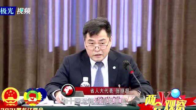 两会V观察丨省人大代表张继超:支持航空基地产业建设