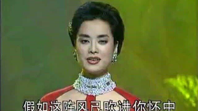 央视春晚歌曲精选:《风》(1993)毛阿敏演唱