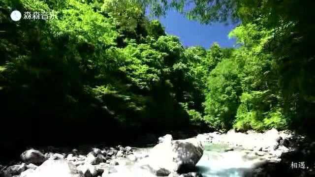 《山谷里飘来的风》溪水潺潺,清澈静谧,涤荡人心