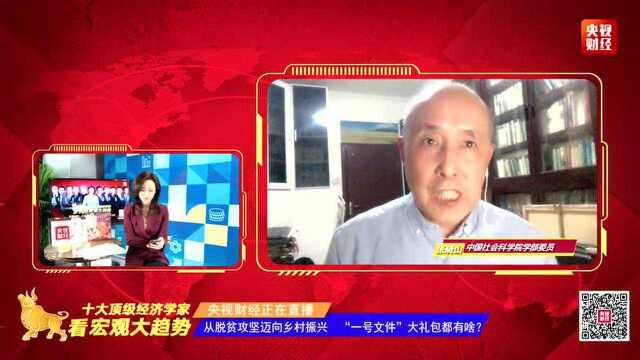 从脱贫攻坚迈向乡村振兴,“一号文件”大礼包都有啥?对话知名农业经济学家张晓山