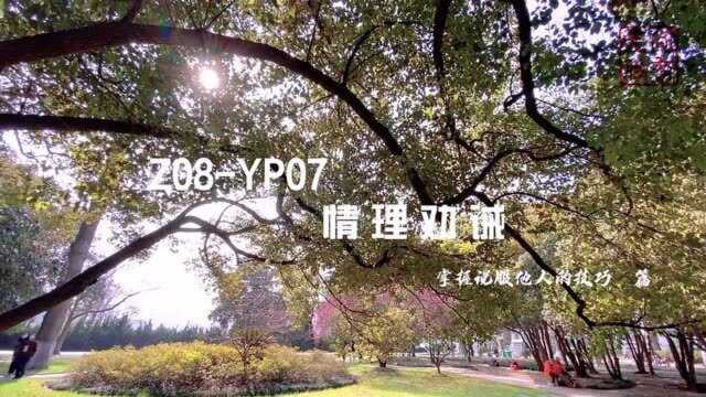 Z08YP07 情理劝诫