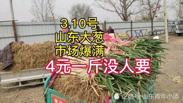 大葱价格3月10号山东大葱市场爆满,4元一斤大葱没人要.