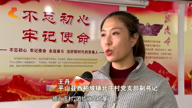 平山:学习百年党史 汲取奋进力量