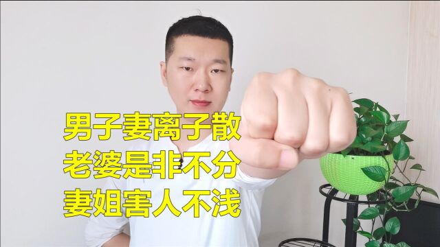 男子被大姨姐搞的妻离子散,离婚时妻子却说:你对我姐姐不好