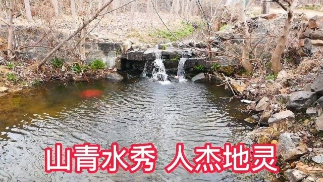 拉面哥程运付,辛勤善良堪为典范,大衣哥团花钱买主播,你们怎么看