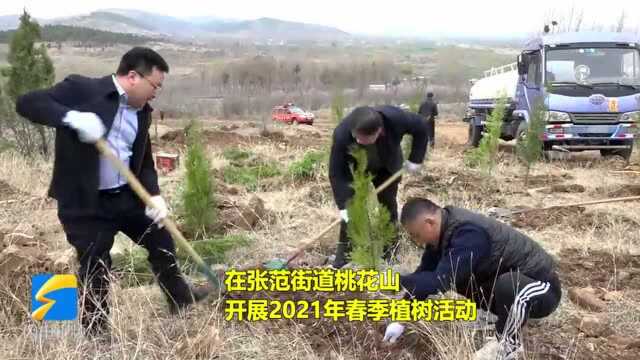 39秒||栽植侧柏7000余株!枣庄高新区百余名干部职工桃花山植绿