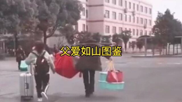 父爱如山图鉴