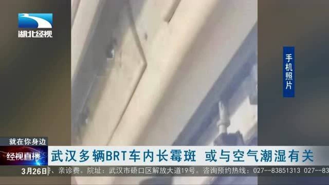 武汉多辆BRT车内长霉斑 或与空气潮湿有关