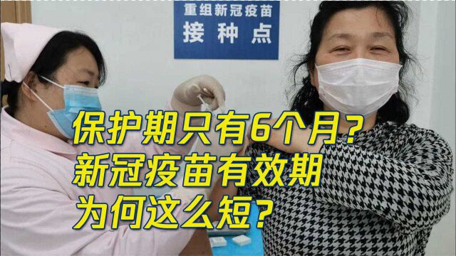 保护期只有6个月?新冠疫苗有效期为何这么短?国药:加强针已在研发中!