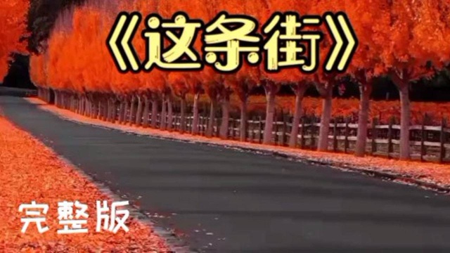 音乐歌曲这条街完整版