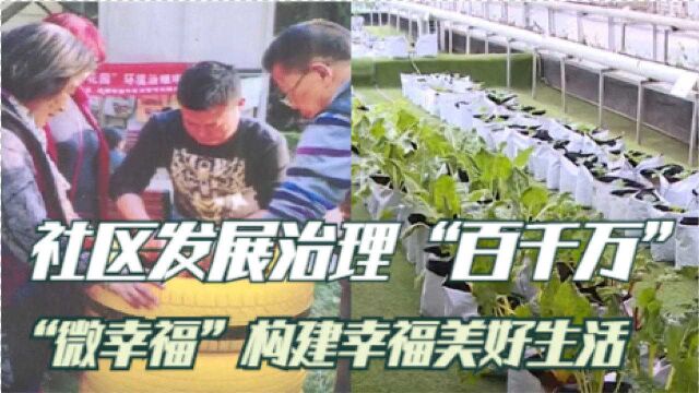 社区发展治理“百千万” “微幸福”构建幸福美好生活