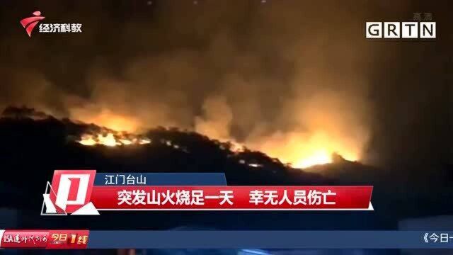 江门台山突发山火烧足一天 幸无人员伤亡 是否与清明祭拜有关?