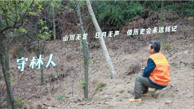 【守林人】山川无言,日月无声,但历史会永远铭记