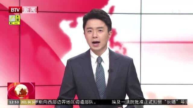 阿根廷放归获救麦哲伦企鹅