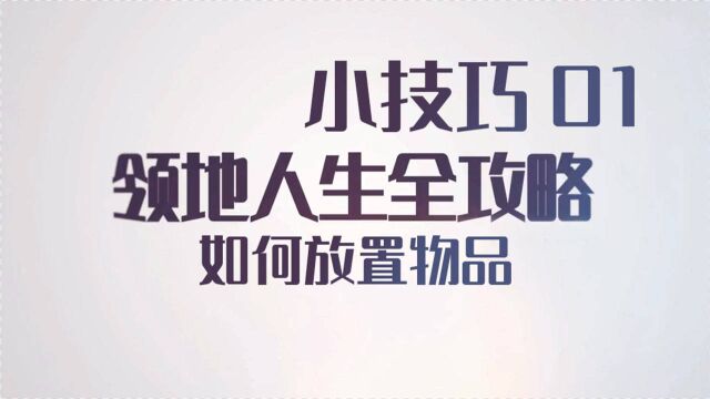 《领地人生》全攻略小技巧如何放置物体01