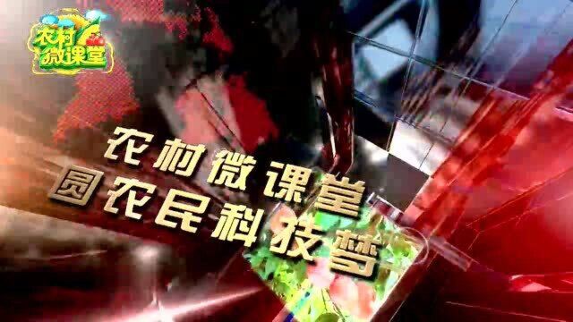 《在纪念红军长征胜利八十周年大会上的讲话》