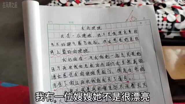 无意间看了小姑子的作文“我的嫂嫂”,全篇嫂子老多缺点,太难了!