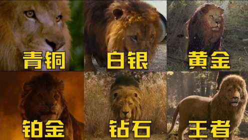 假如影视中的狮子有段位，你觉得哪个最厉害？王者的狮子王竟然可以召唤水怪！