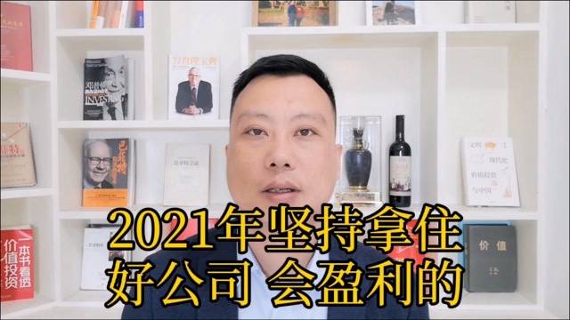 2021年坚持拿住,好公司会盈利的