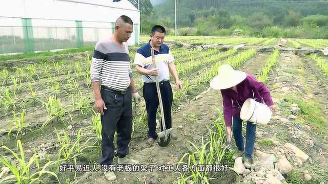 翁源县德财蔬菜专业合作社理事长李德财:在广袤的农村大地上开创事业